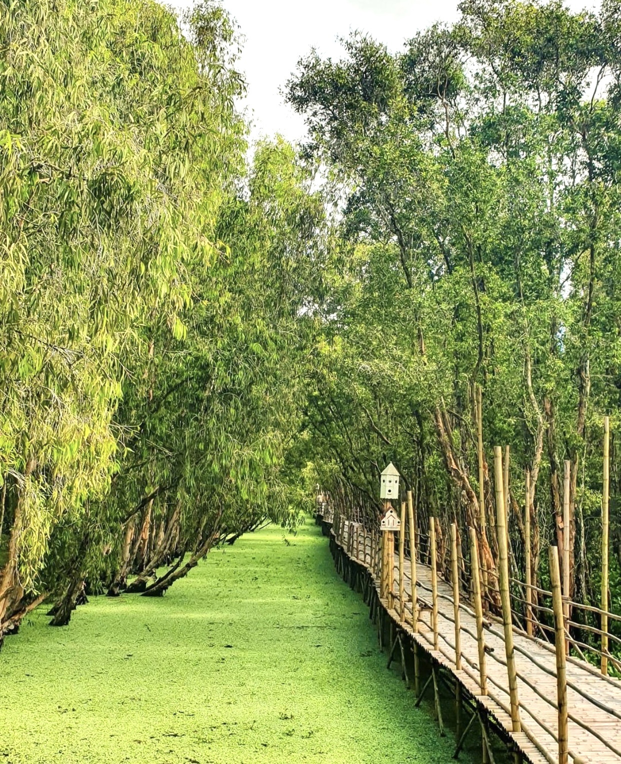 Diem den noi tieng mien Tay anh 3