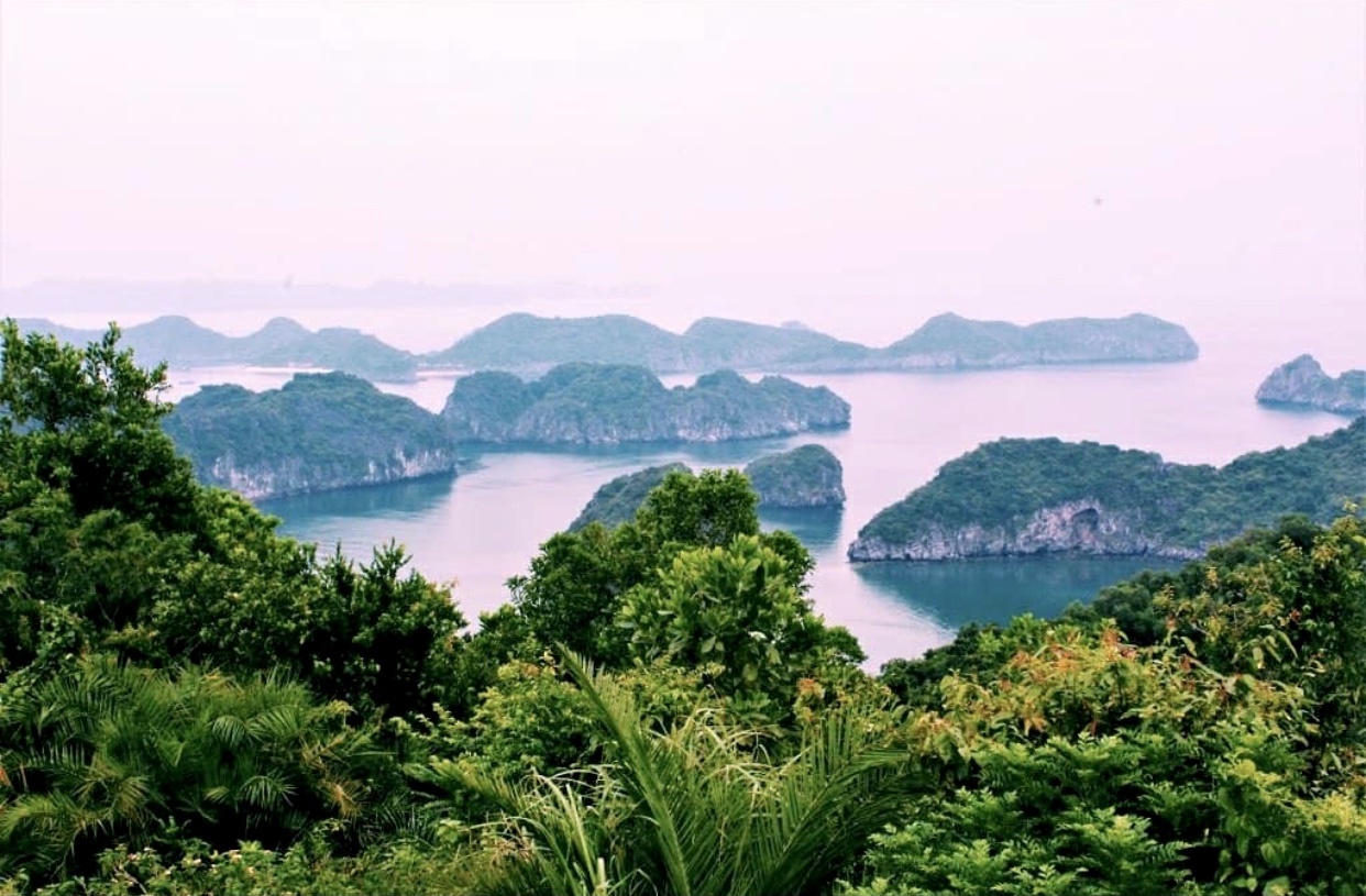 Diem du lich bien o Viet Nam anh 5