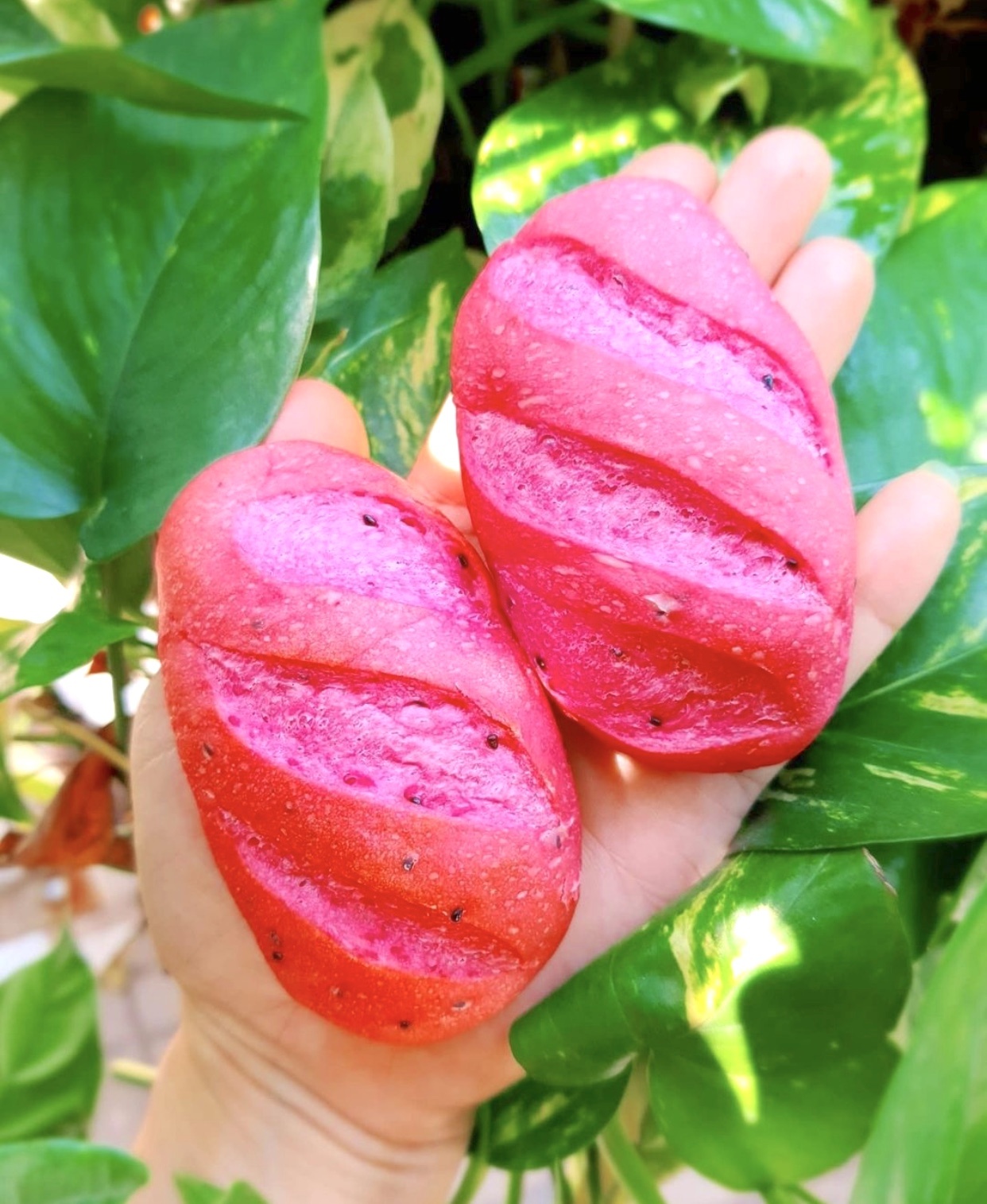 Mon an duong pho anh 7