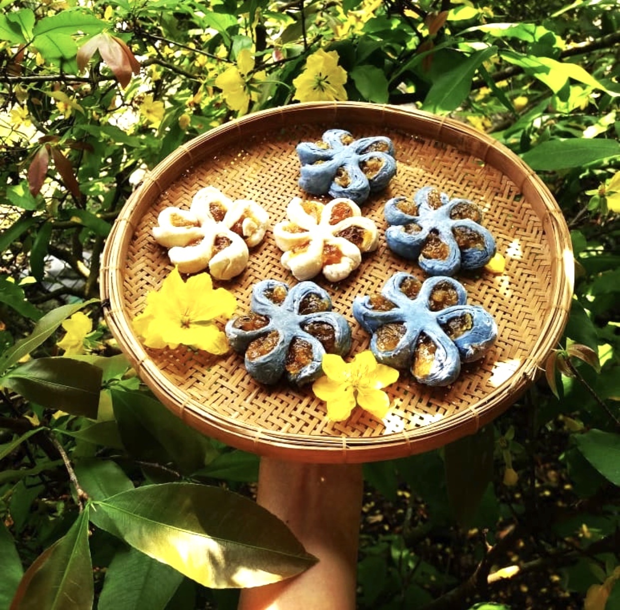 Cac mon banh khong the thieu dip Tet anh 6