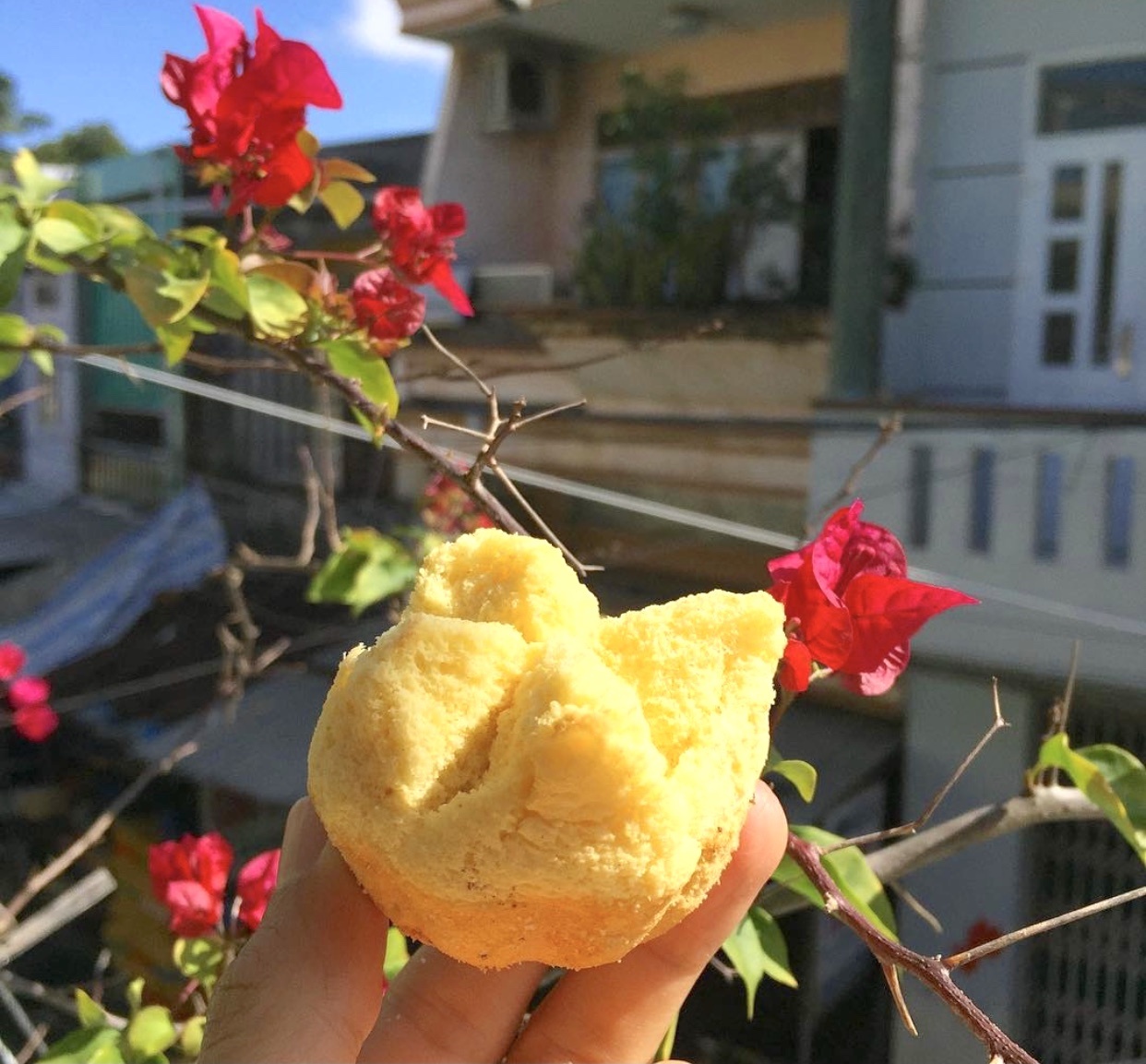 Cac mon banh khong the thieu dip Tet anh 4