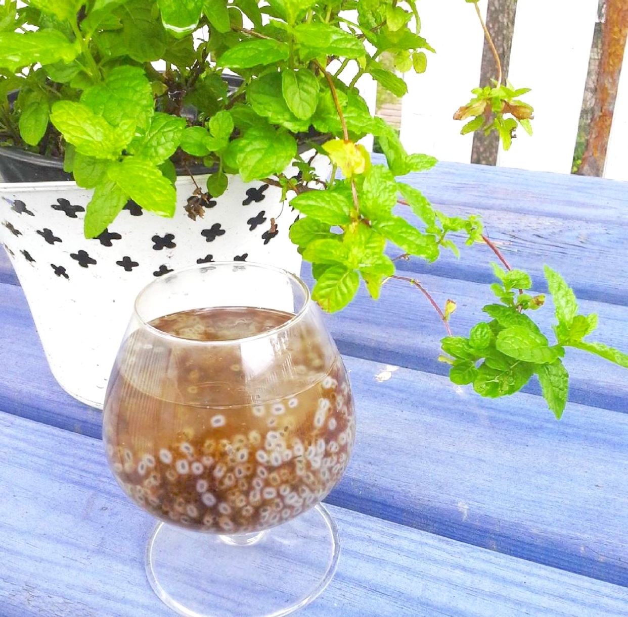 Dac san Phu Quoc anh 7