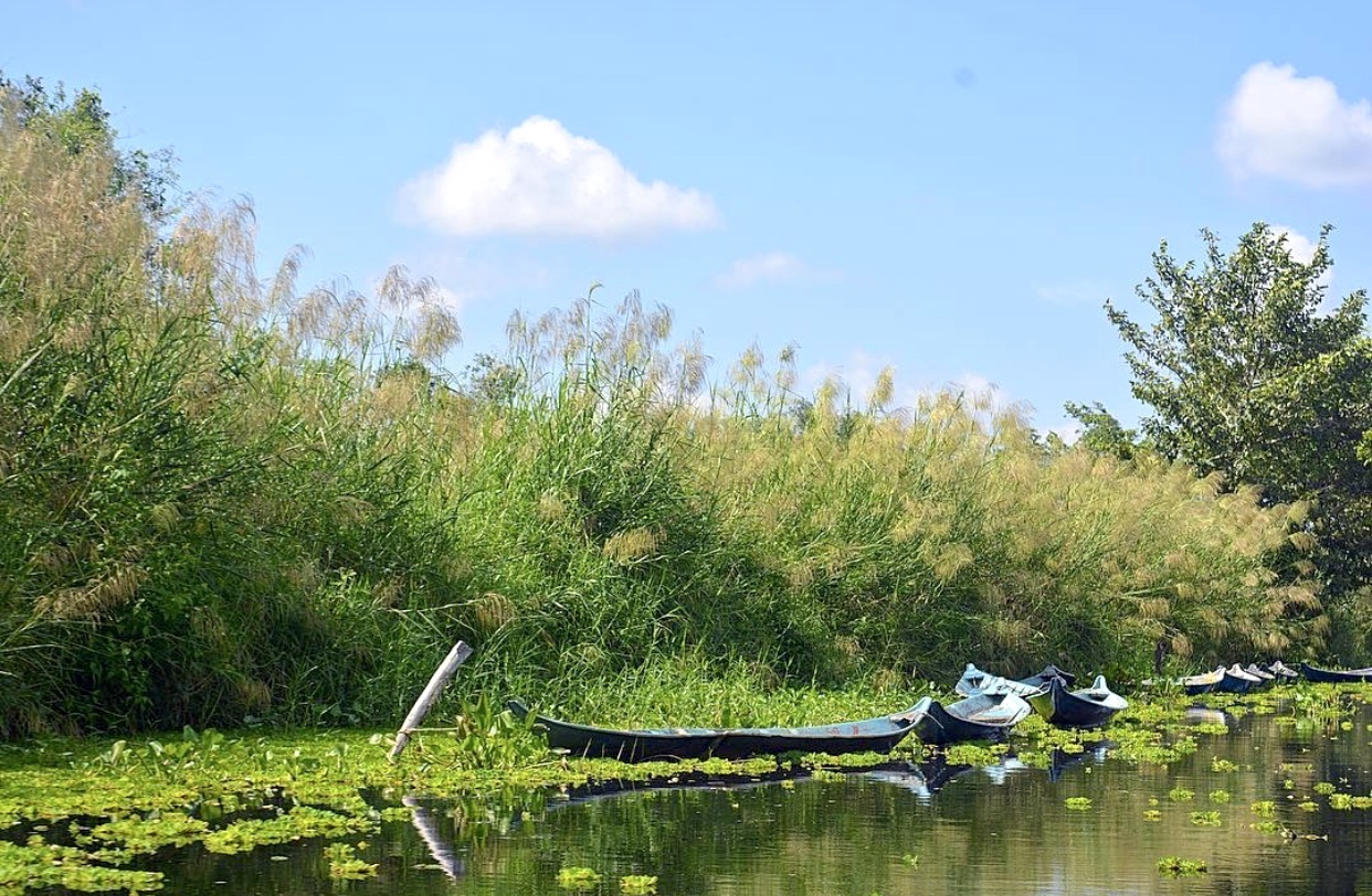 Du lich Kien Giang anh 6