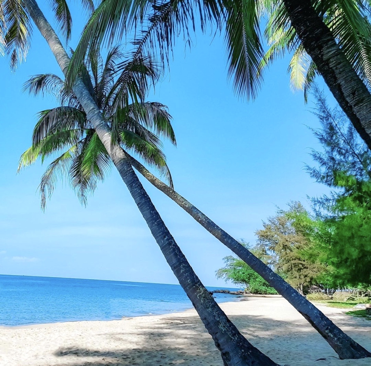 Du lich Kien Giang anh 5