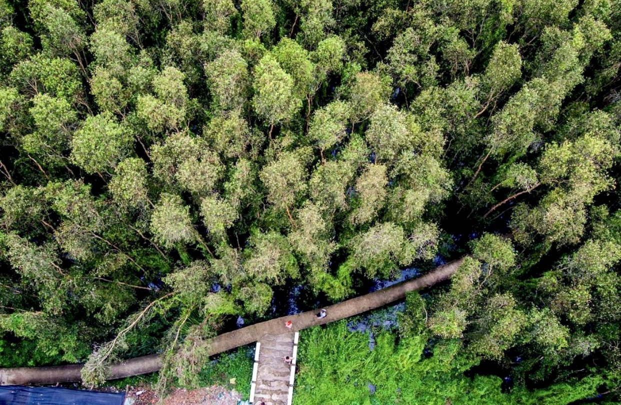 Cung duong dep nhat Viet Nam anh 4