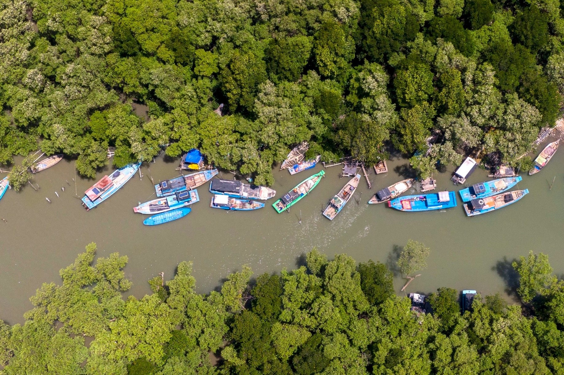 Xa dao duy nhat o TP.HCM hinh anh