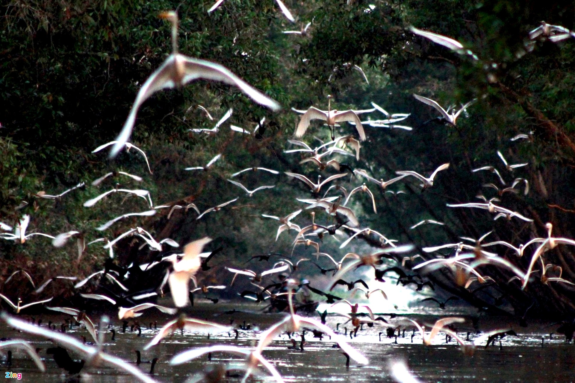 Du lich mien Tay anh 1