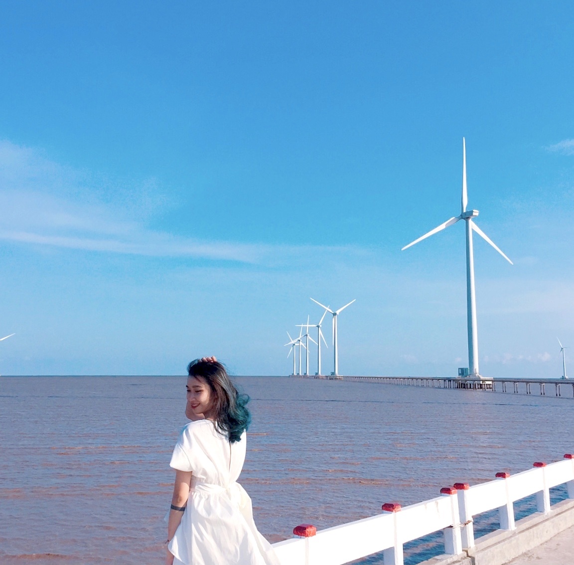 Nhung cay cau noi tieng Viet Nam anh 4