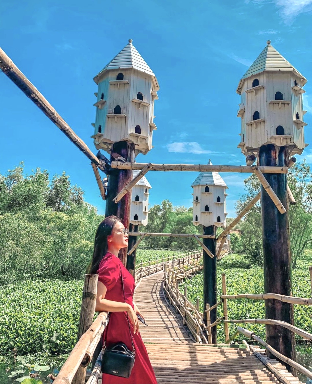 Nhung cay cau noi tieng Viet Nam anh 5