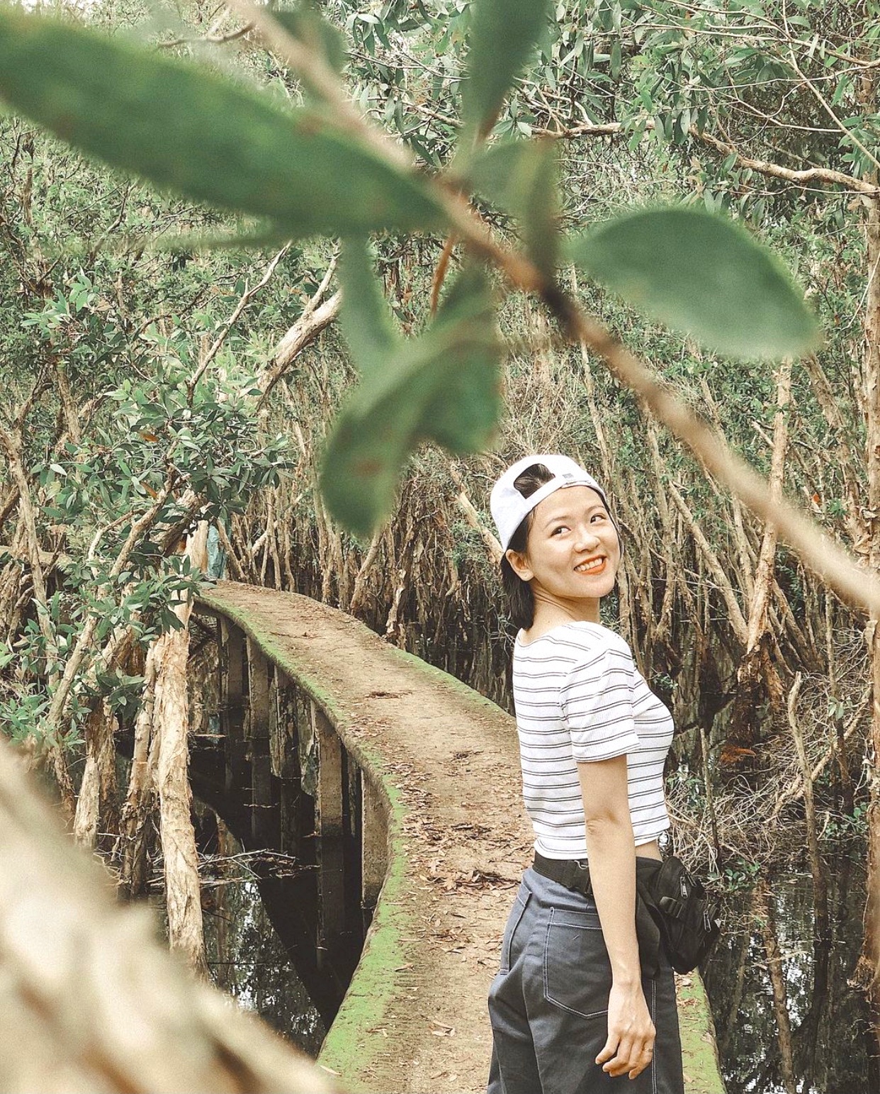 Nhung cay cau noi tieng Viet Nam anh 6