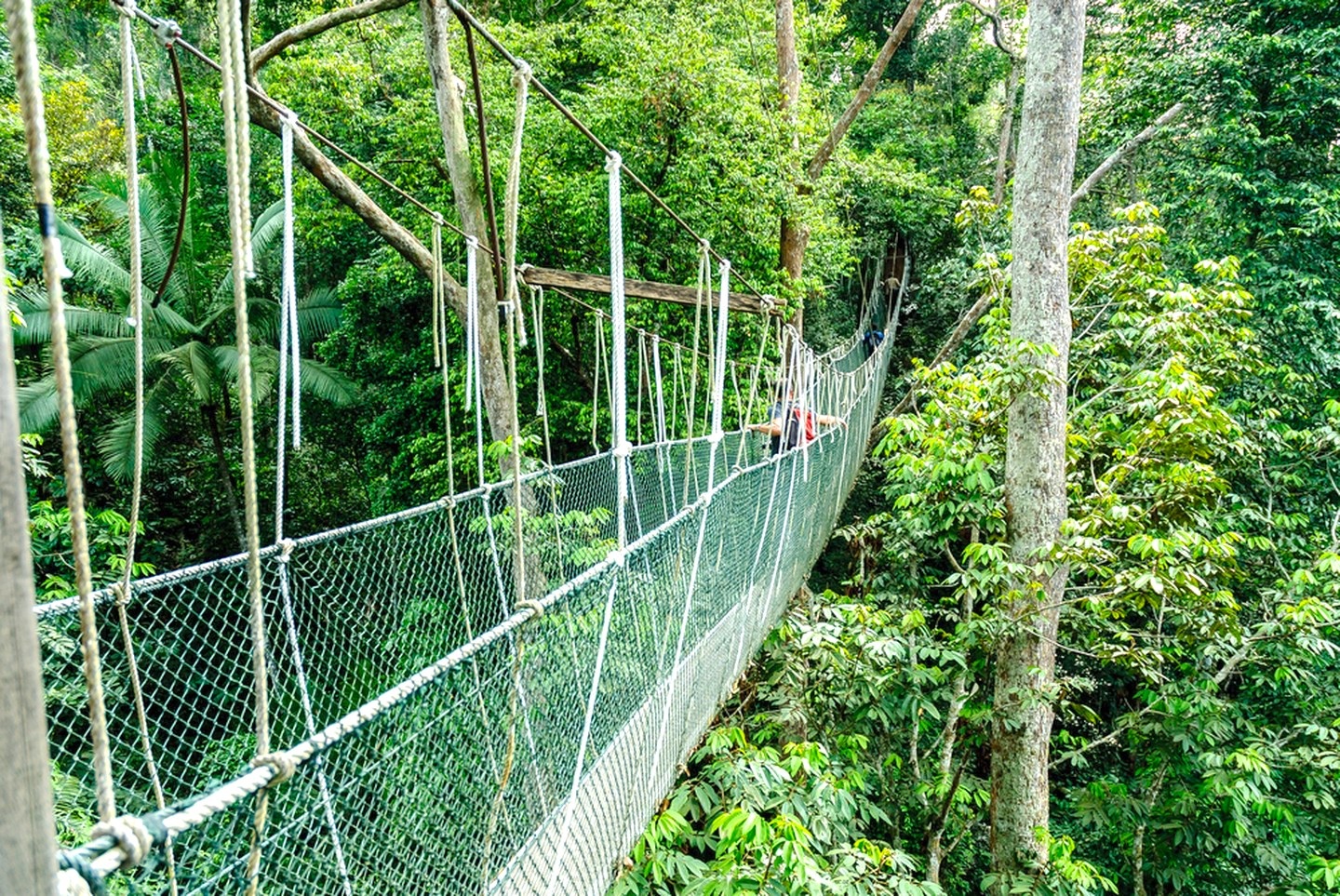 Khám phá Malaysia ảnh 7 Kham pha Malaysia anh 7