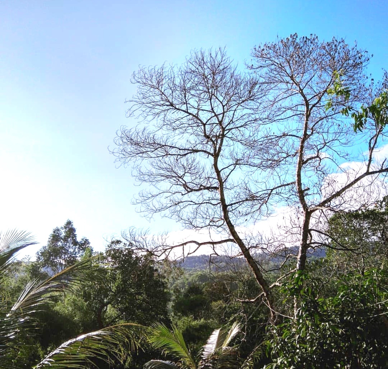 Du lich An Giang anh 4