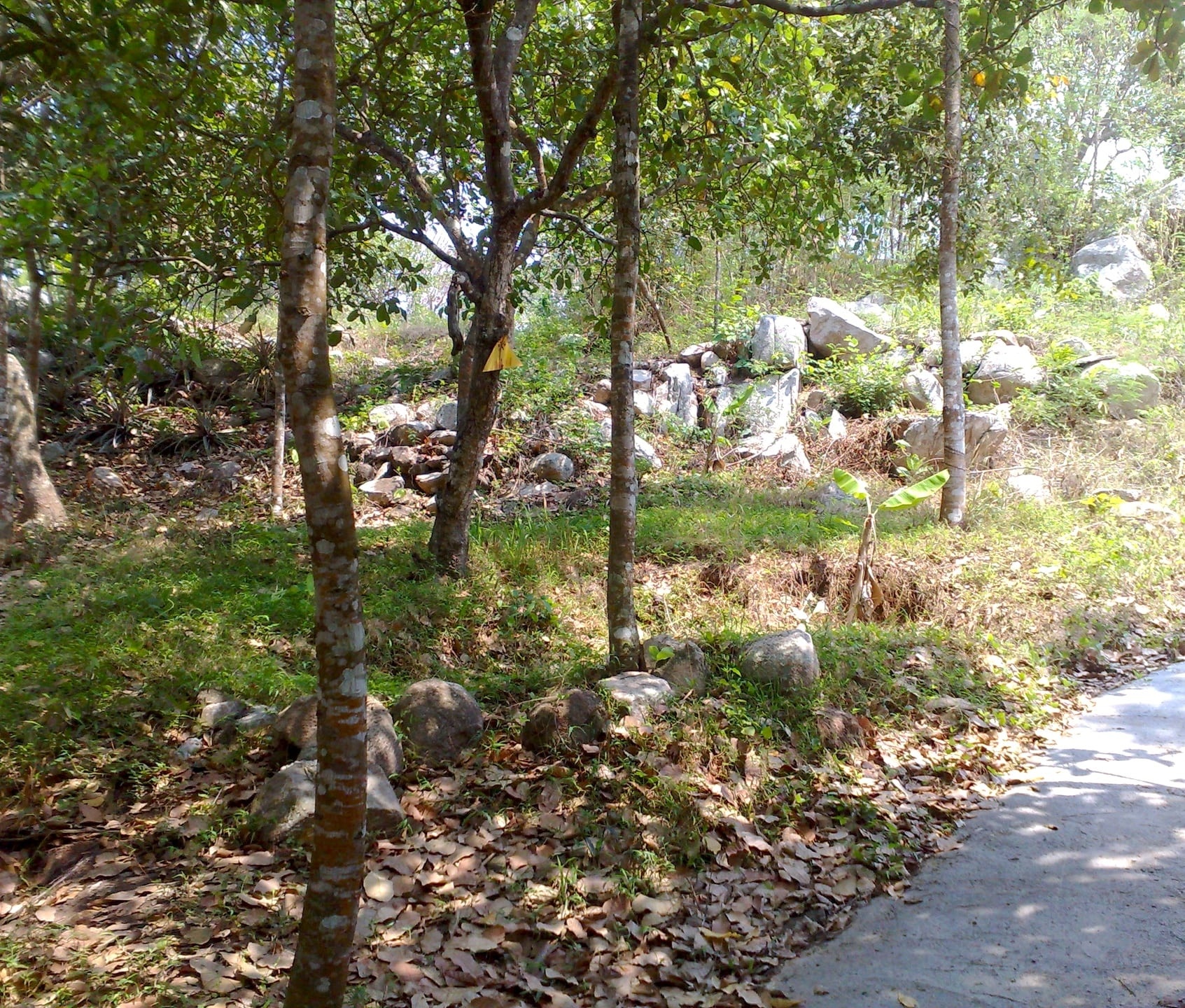 Du lich An Giang anh 5