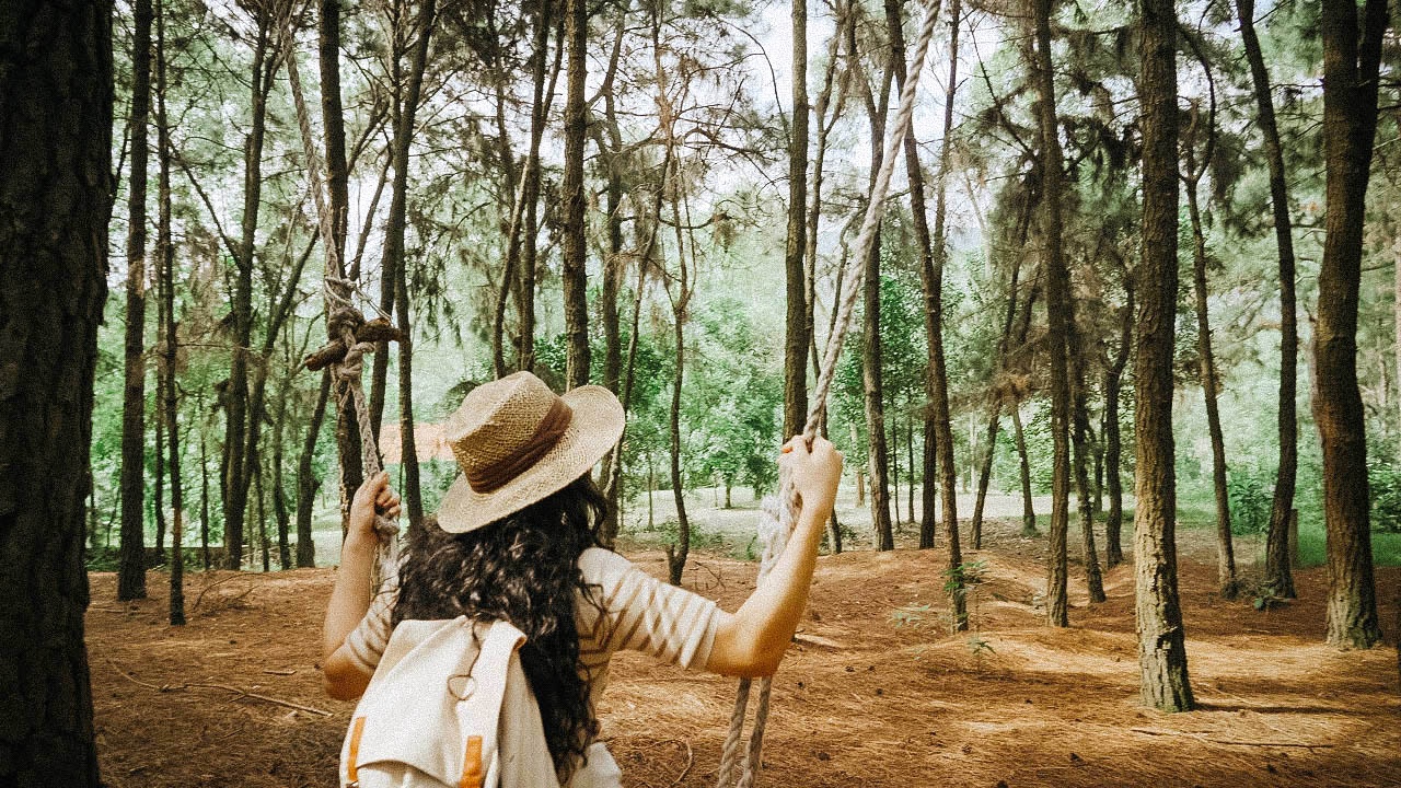 Du lịch sau giãn cách ảnh 9 Du lich sau gian cach anh 9