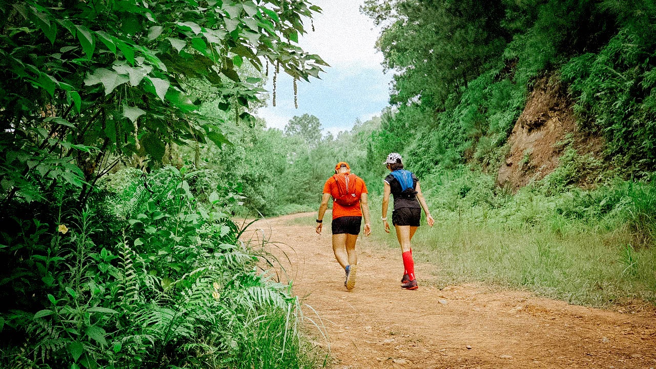 Du lich sau gian cach anh 11