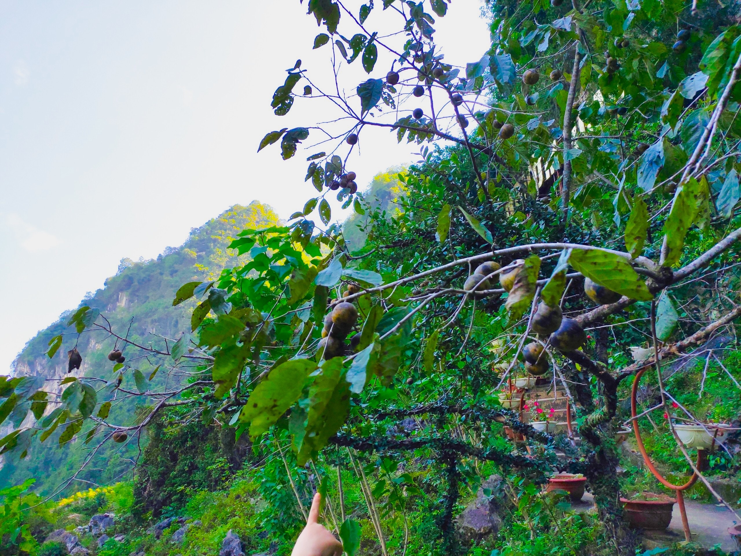 Du lich Cao Bang anh 2