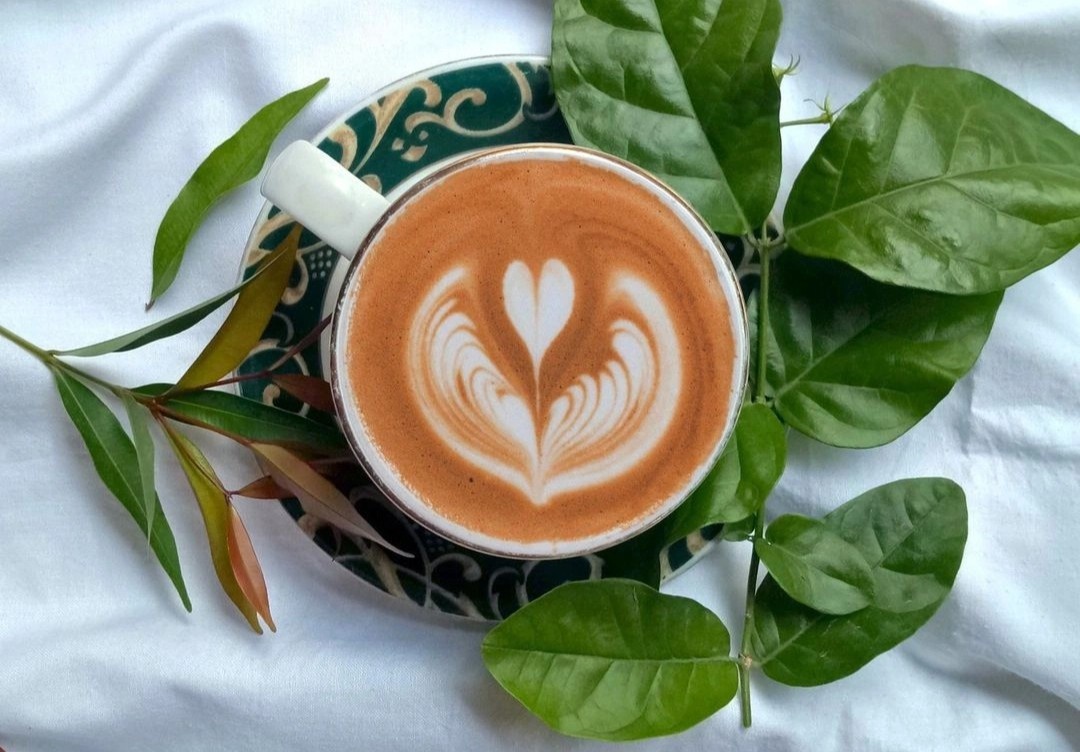 Tiem ca phe co san vuon cho ngay he o TP.HCM hinh anh