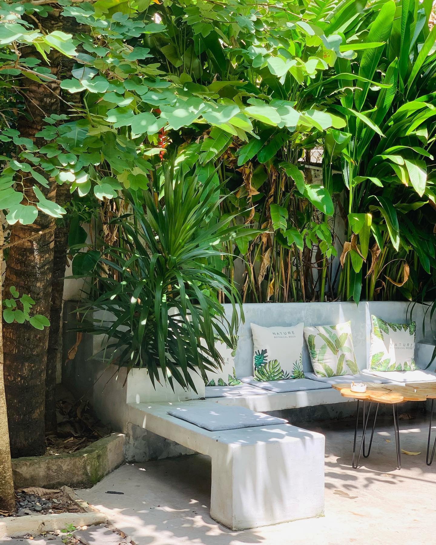 Tiem ca phe xanh o TP.HCM anh 5