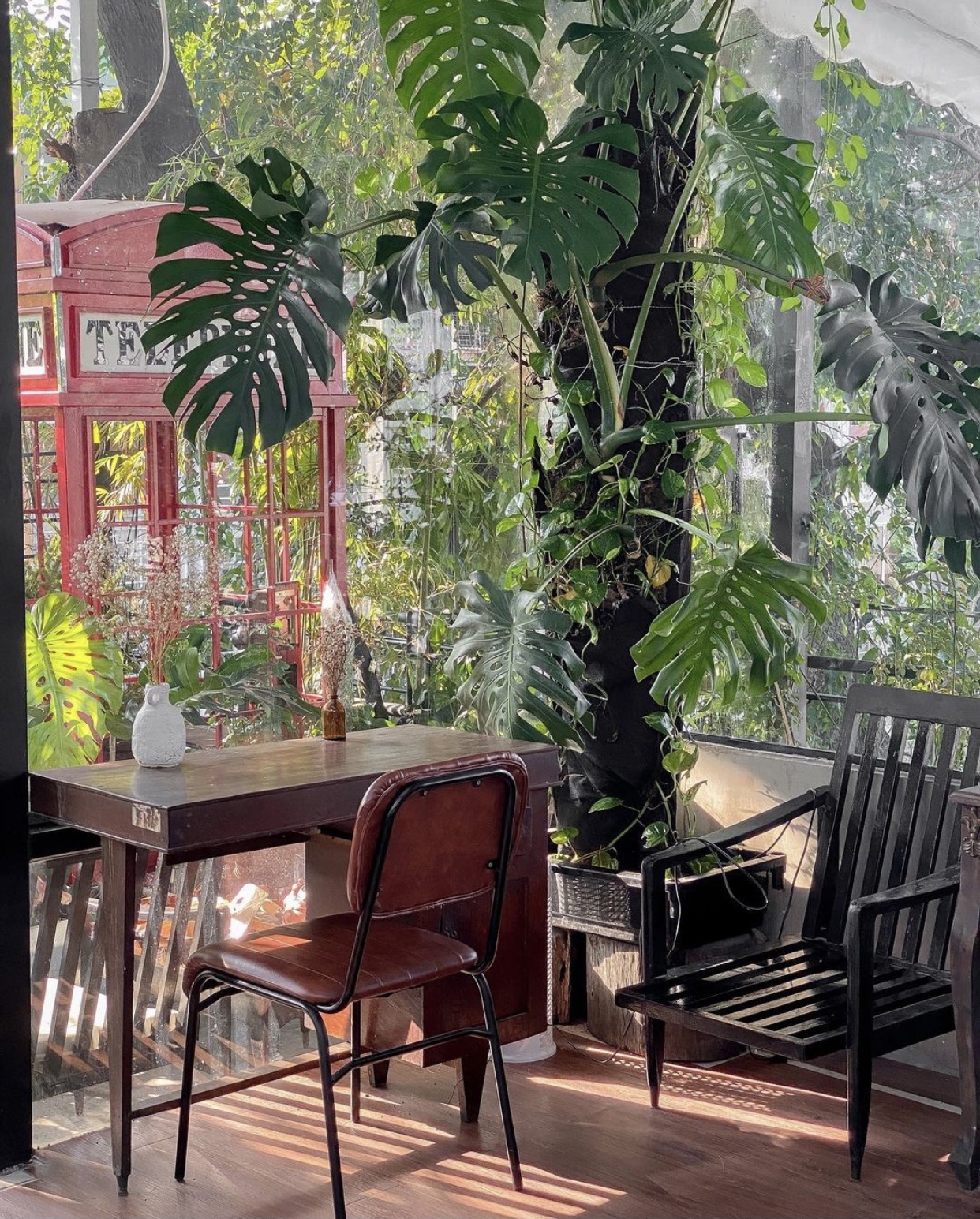 Tiem ca phe xanh o TP.HCM anh 7