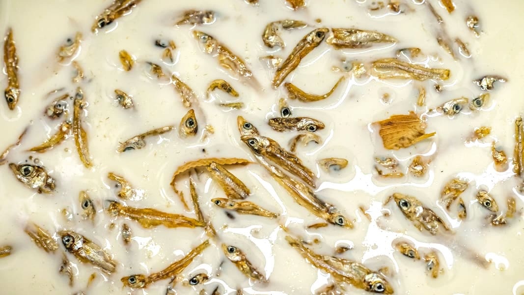 Món ăn độc lạ ảnh 3 Mon an doc la anh 3