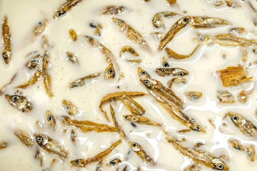 Kem ca kho, sau buom o Nam Phi hinh anh