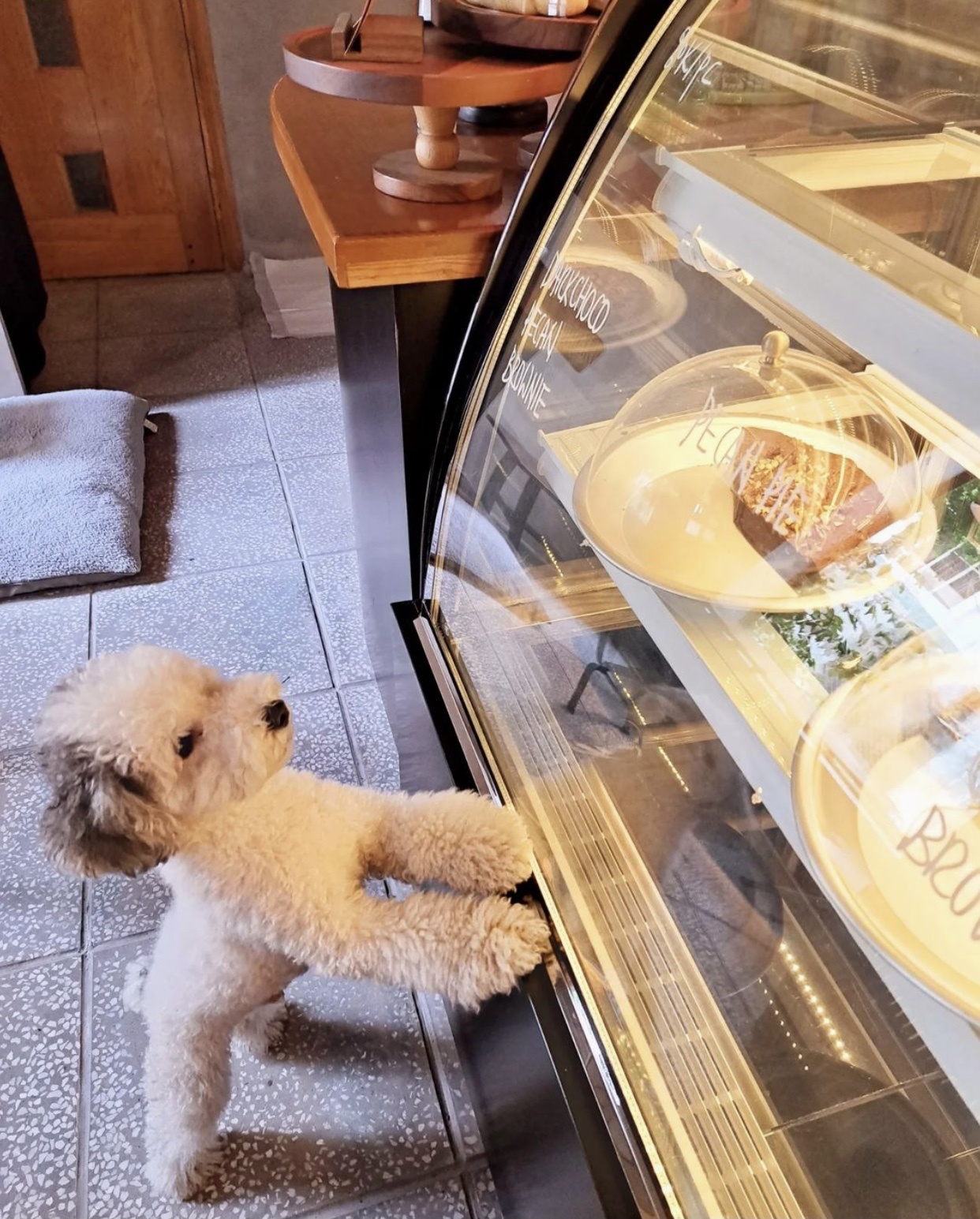 Tiệm bánh Sài Gòn ảnh 3 Tiem banh Sai Gon anh 3