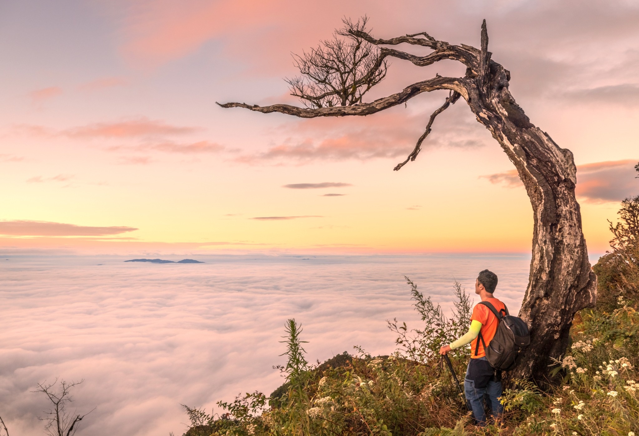 San may Viet Nam anh 3