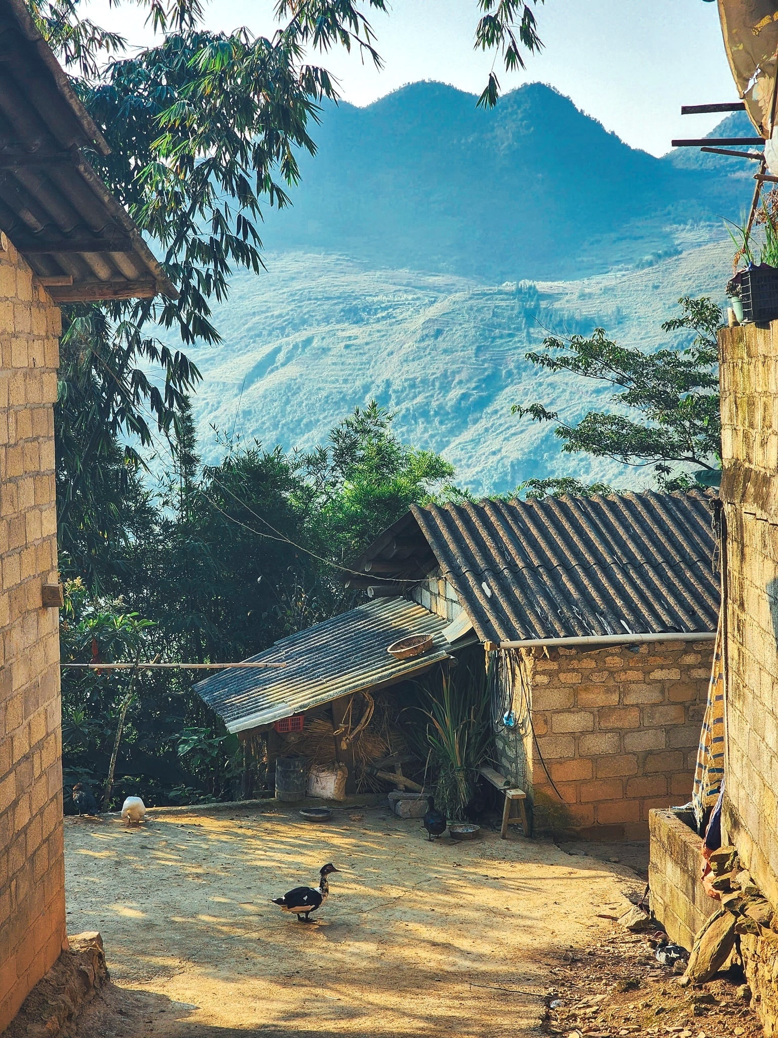 Du lich Ha Giang anh 34