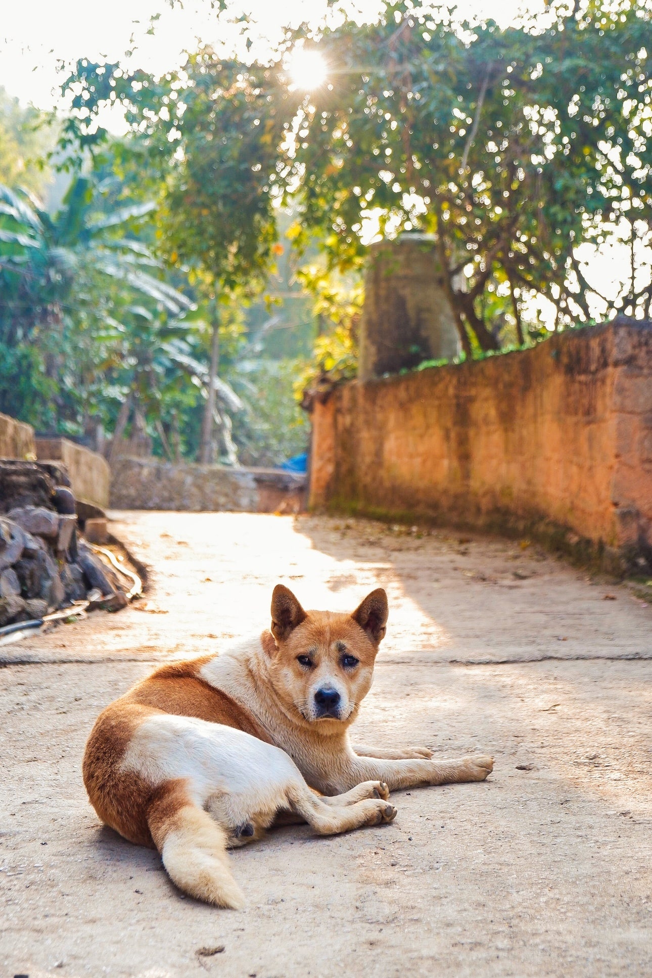 Du lich Ha Giang anh 33