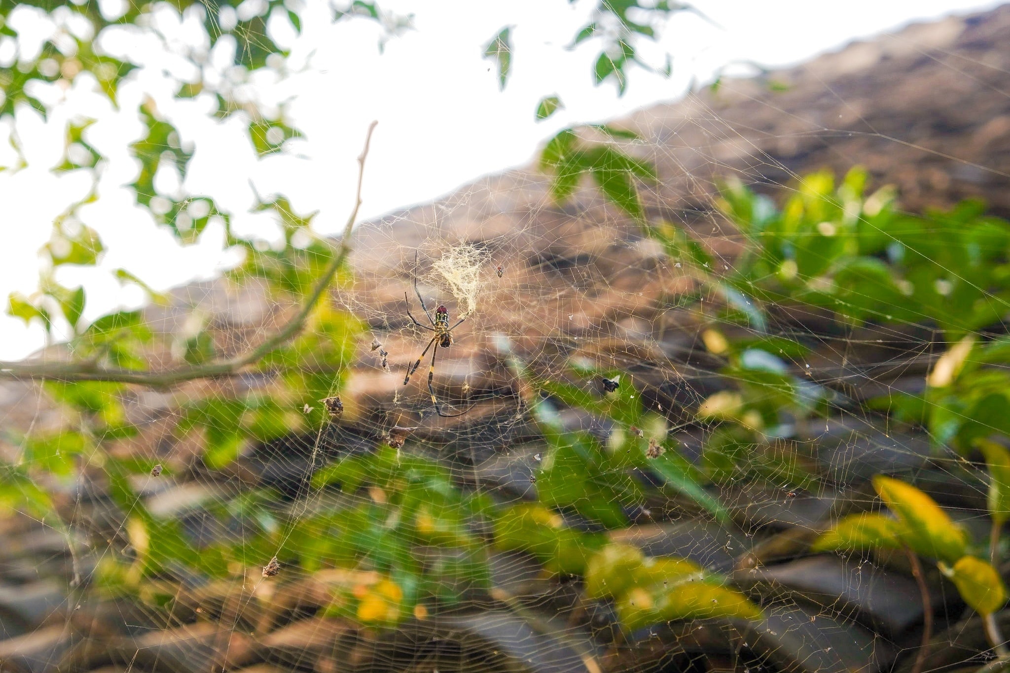 Du lich Ha Giang anh 35