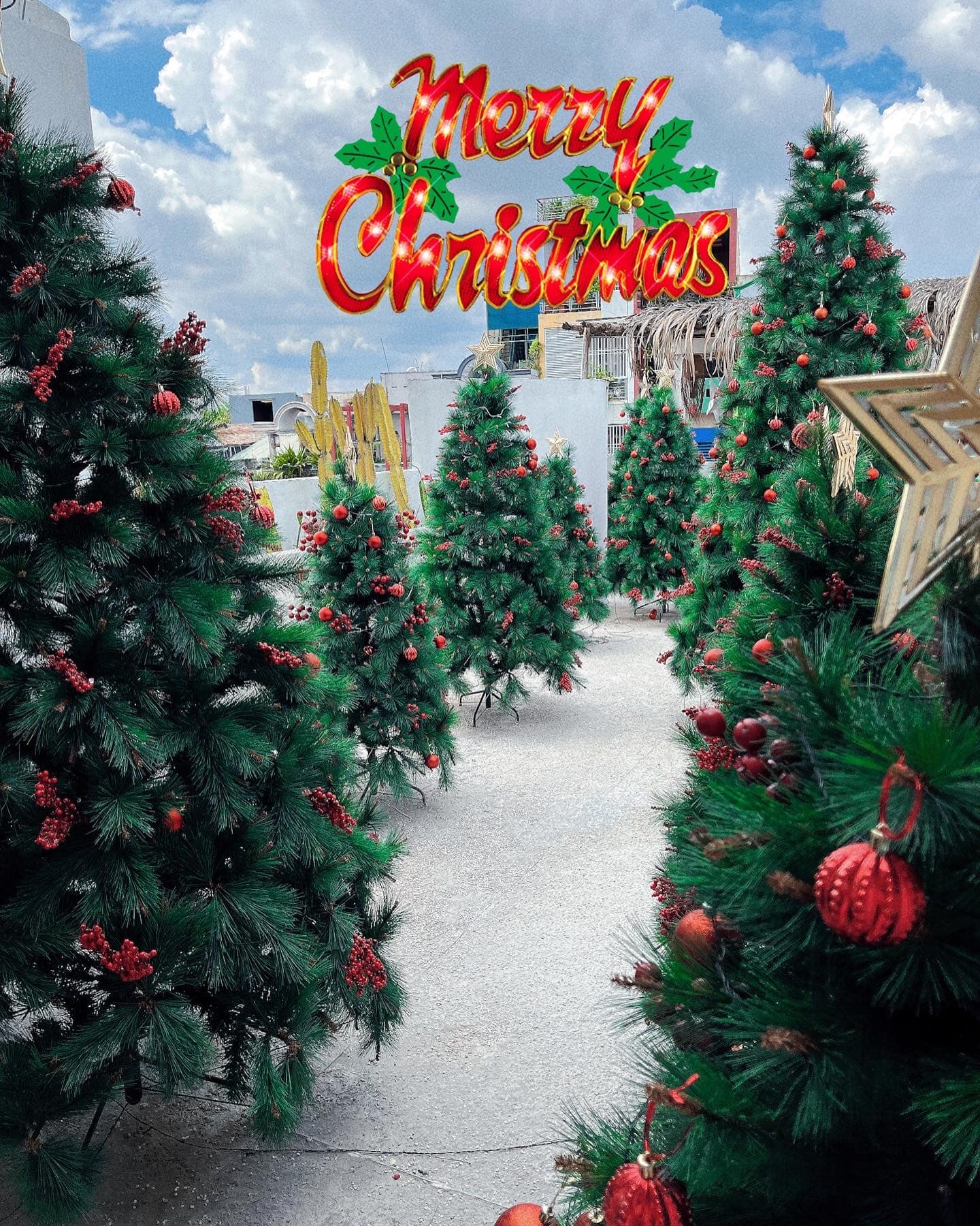 Giáng sinh ảnh 6 Giang sinh anh 6