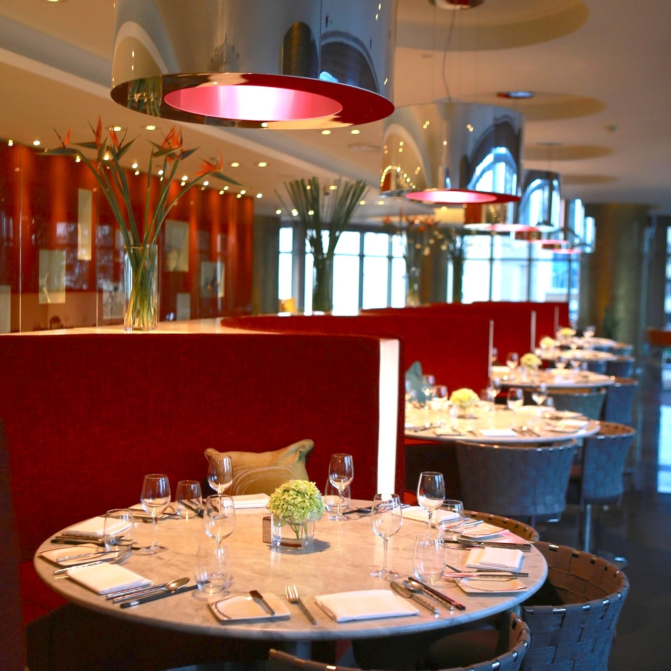 Tet Duong lich anh 8