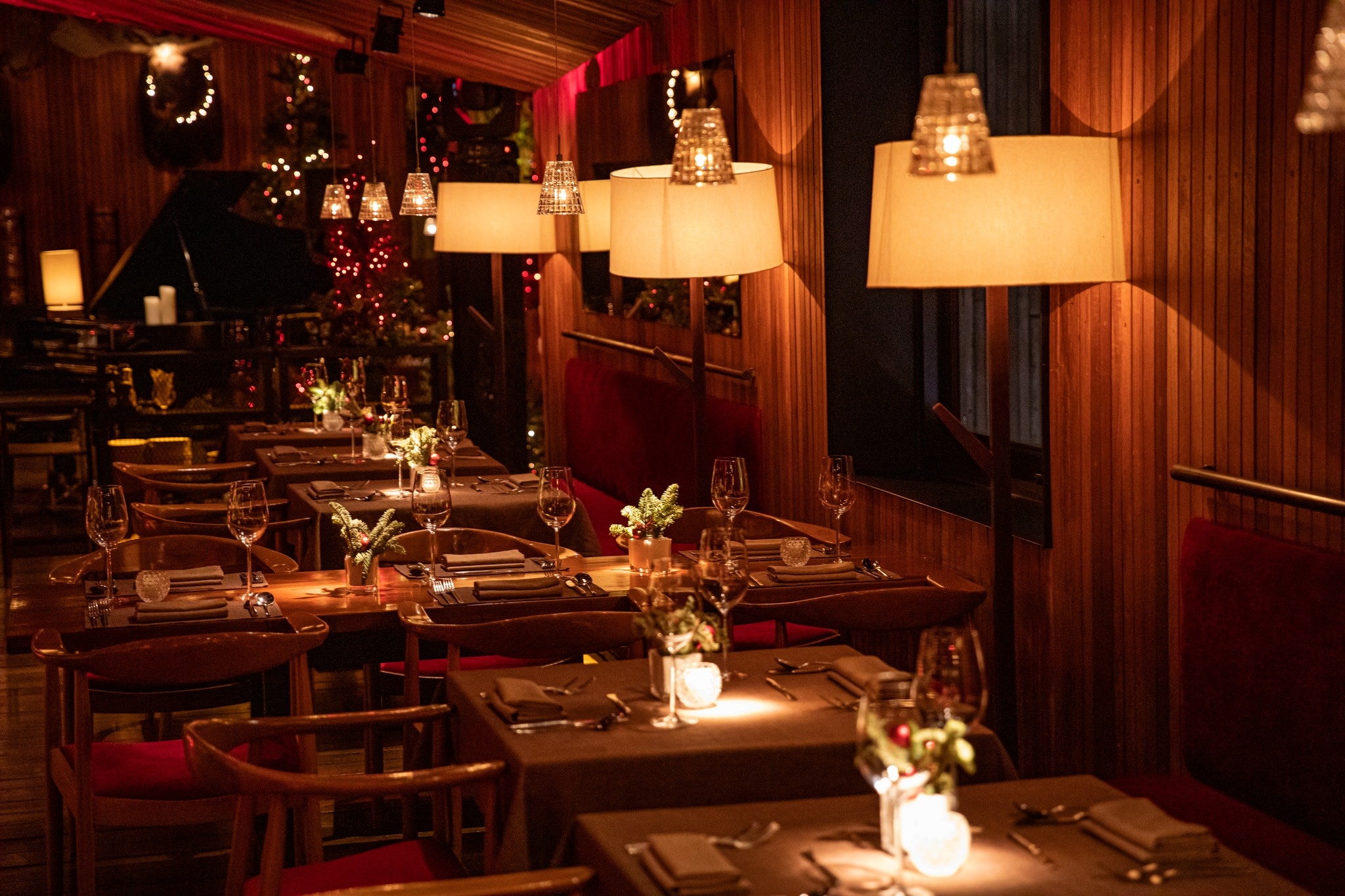 Tet Duong lich anh 4