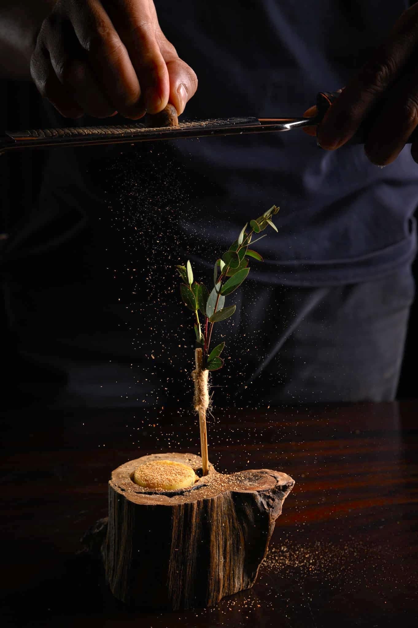 Tet Duong lich anh 1