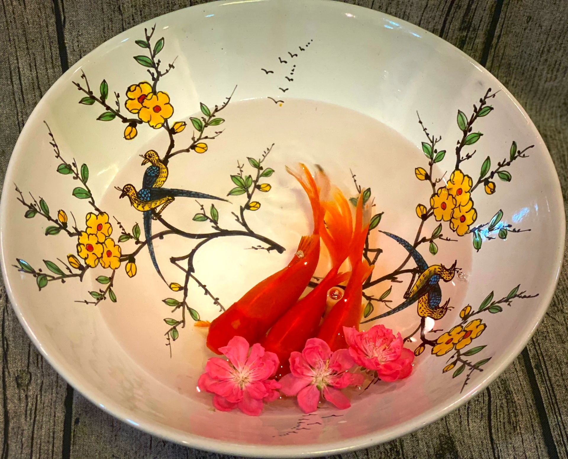 Cung ong Cong ong Tao anh 3