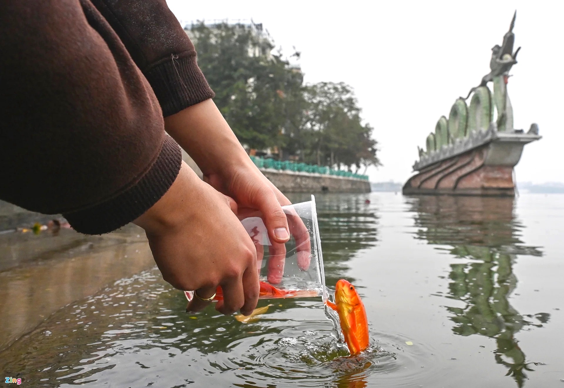 Cung ong Cong ong Tao anh 9