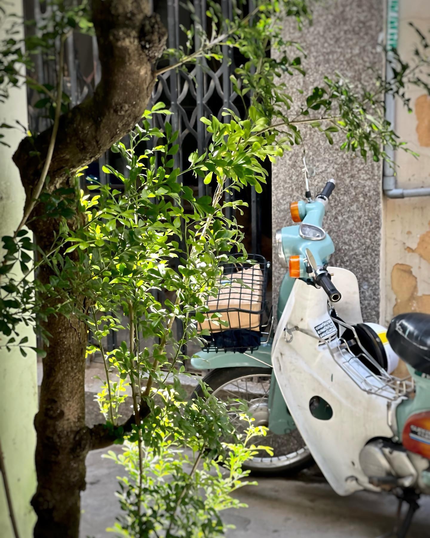 Ca phe Sai Gon anh 3