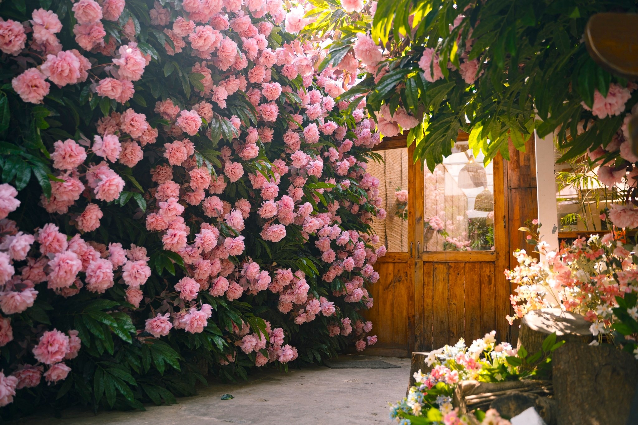 Quoc te Phu nu anh 2