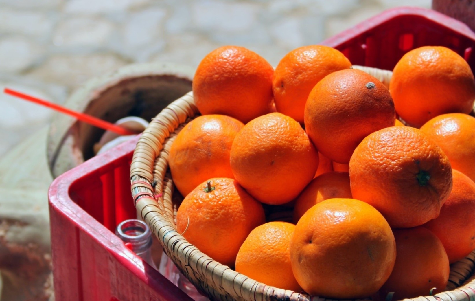 bao quan trai cay anh 2