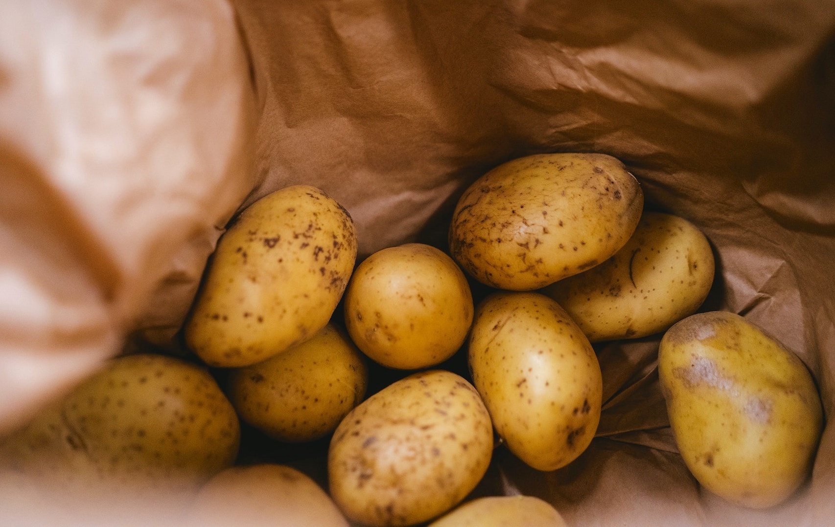 bao quan trai cay anh 6