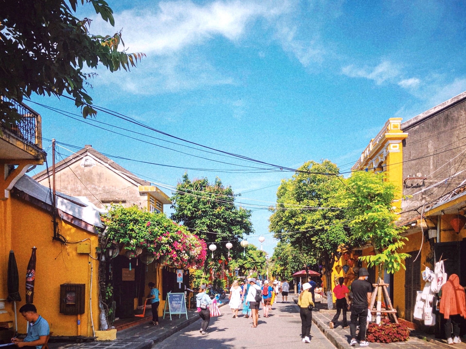 Du lịch Việt Nam ảnh 8 Du lich Viet Nam anh 8