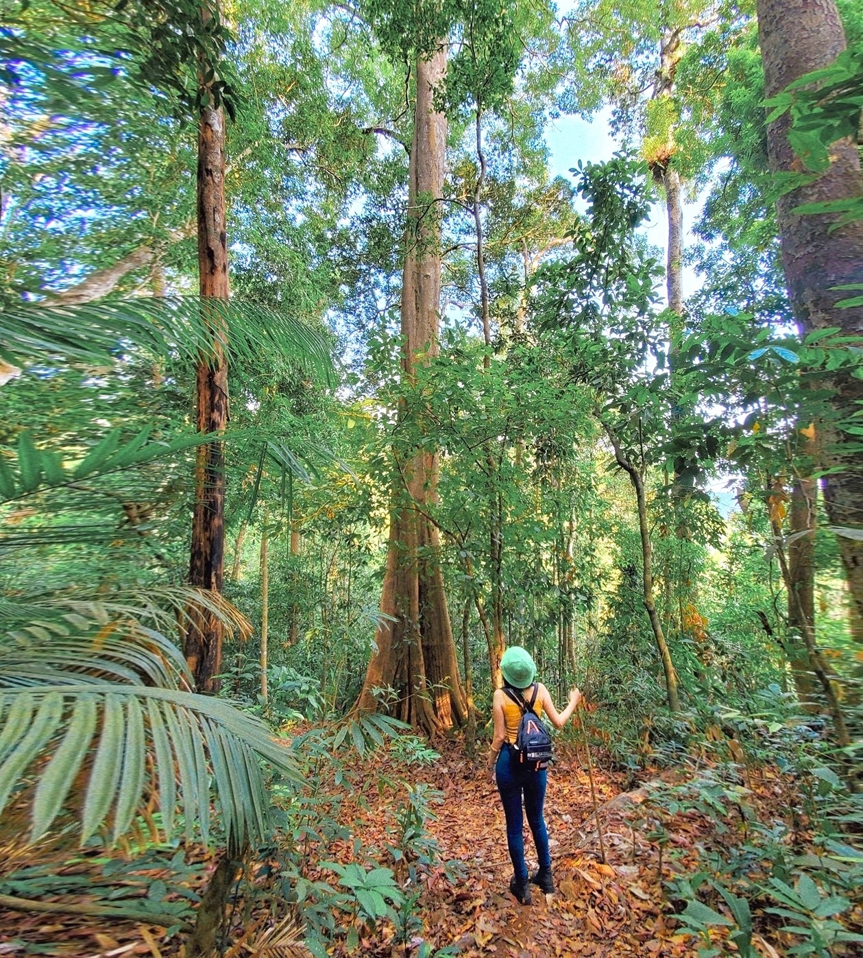 Du lich dip le anh 9