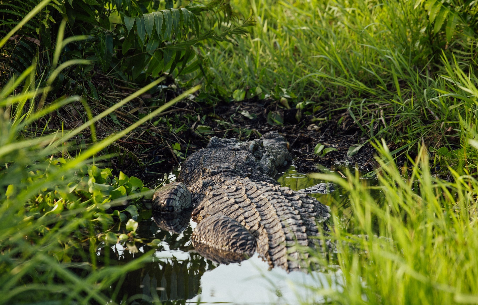 Du lịch dịp lễ ảnh 2 Du lich dip le anh 2