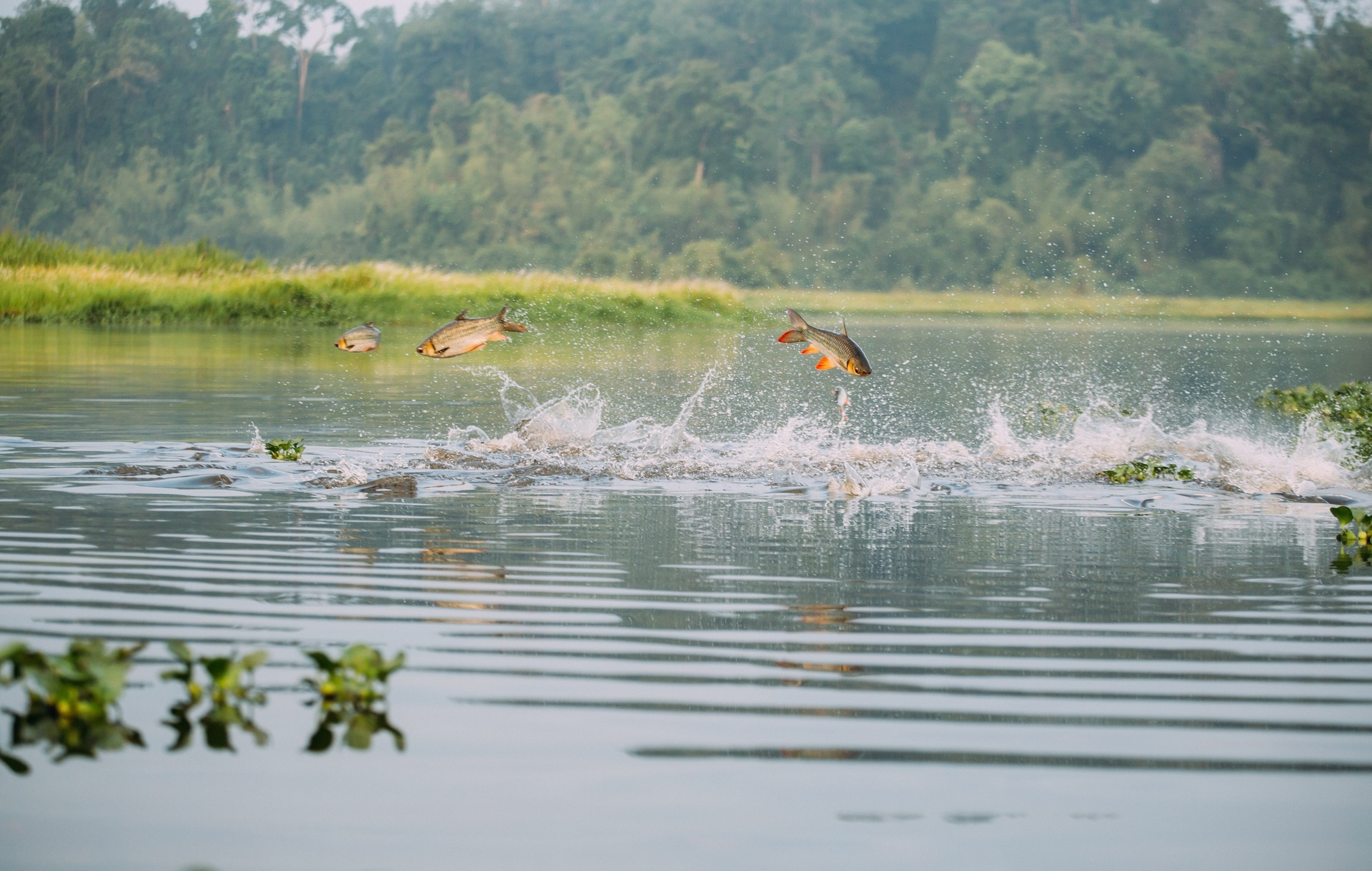 Du lịch dịp lễ ảnh 5 Du lich dip le anh 5