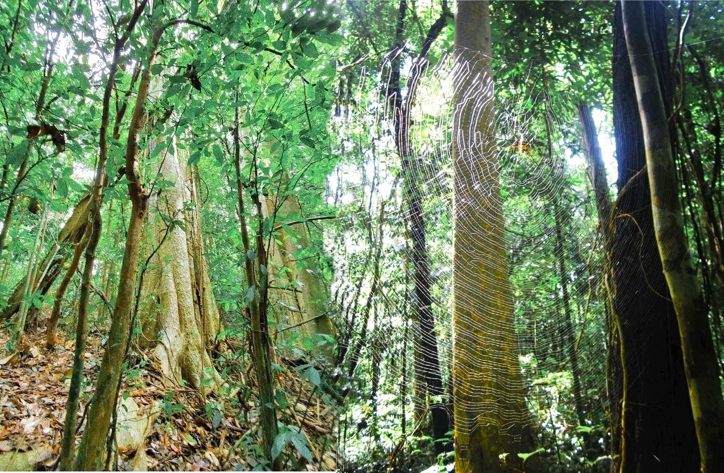 Du lich dip le anh 8