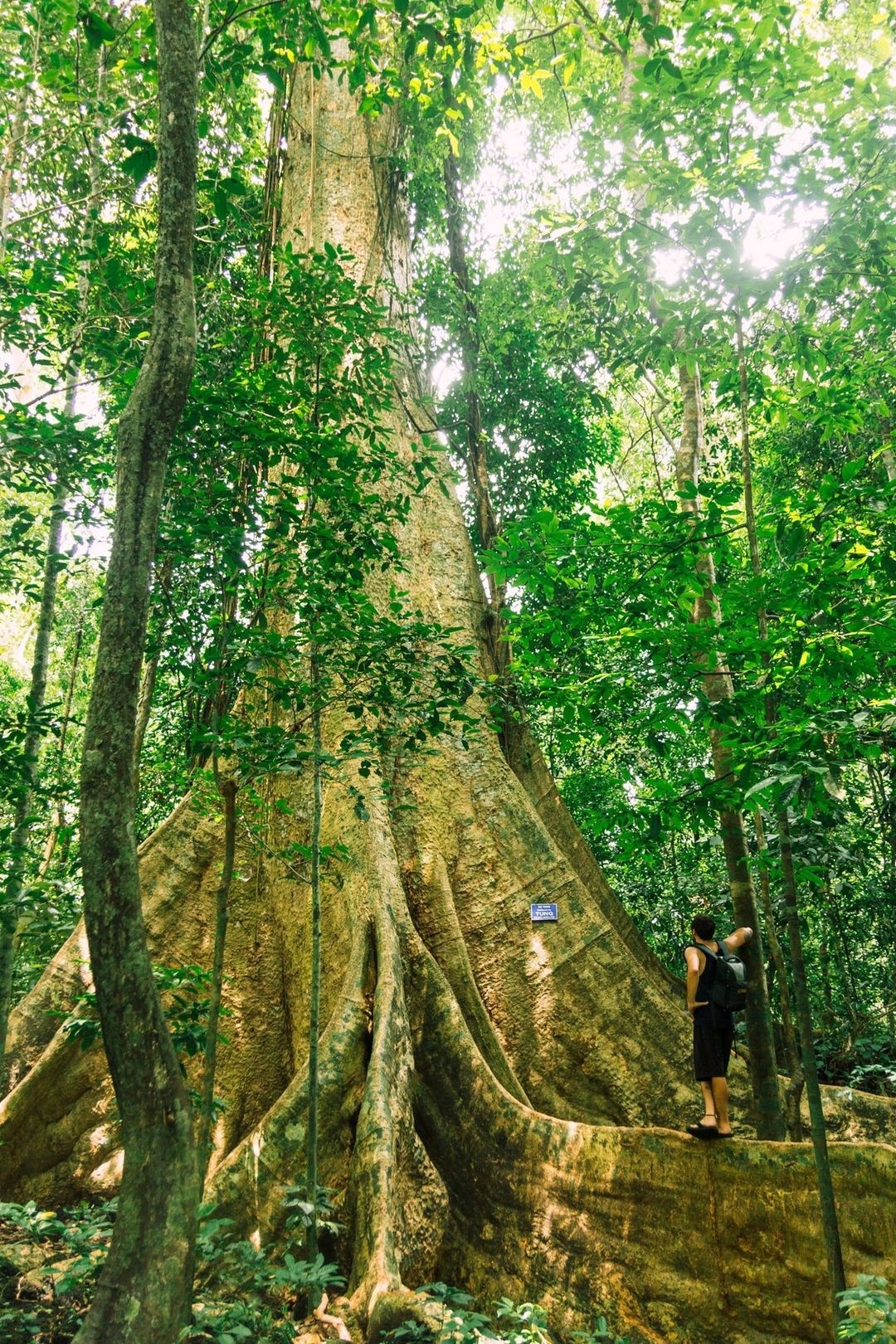 Du lich dip le anh 1