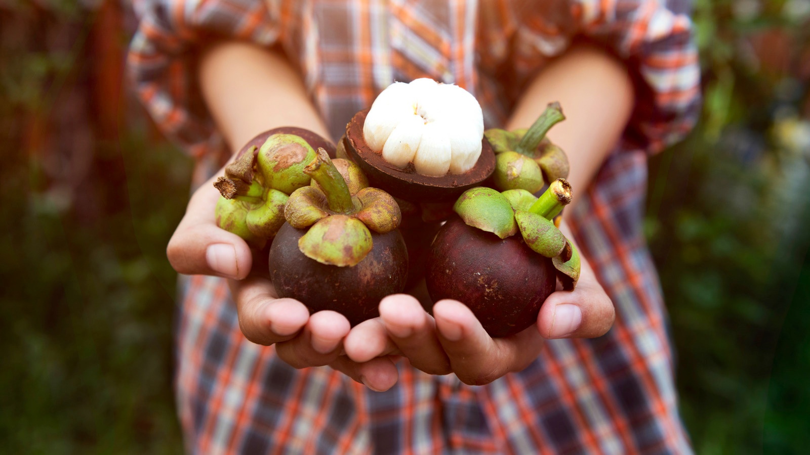 Trai cay mua he anh 1