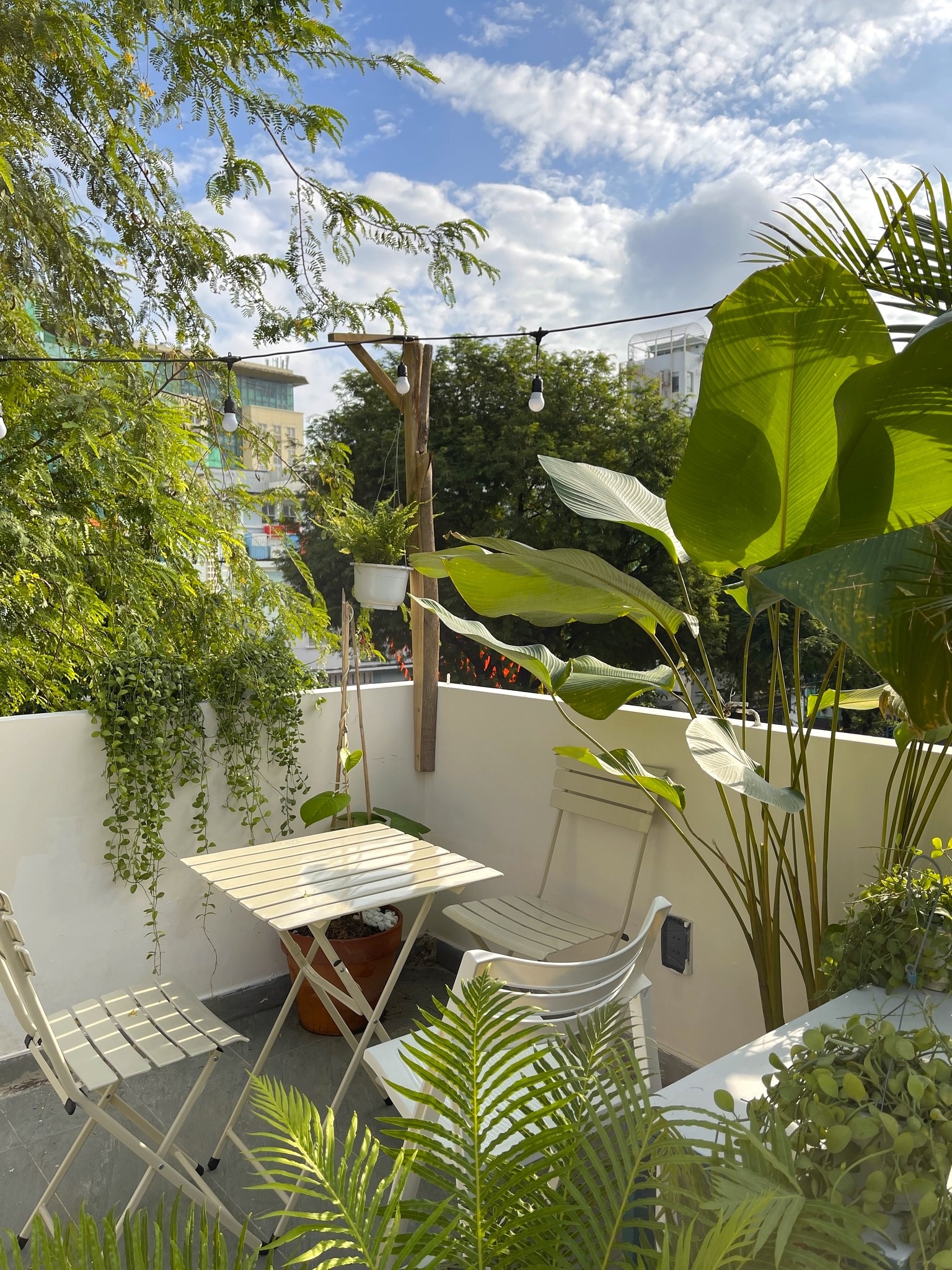 Check-in Sài Gòn ảnh 7 Check-in Sai Gon anh 7