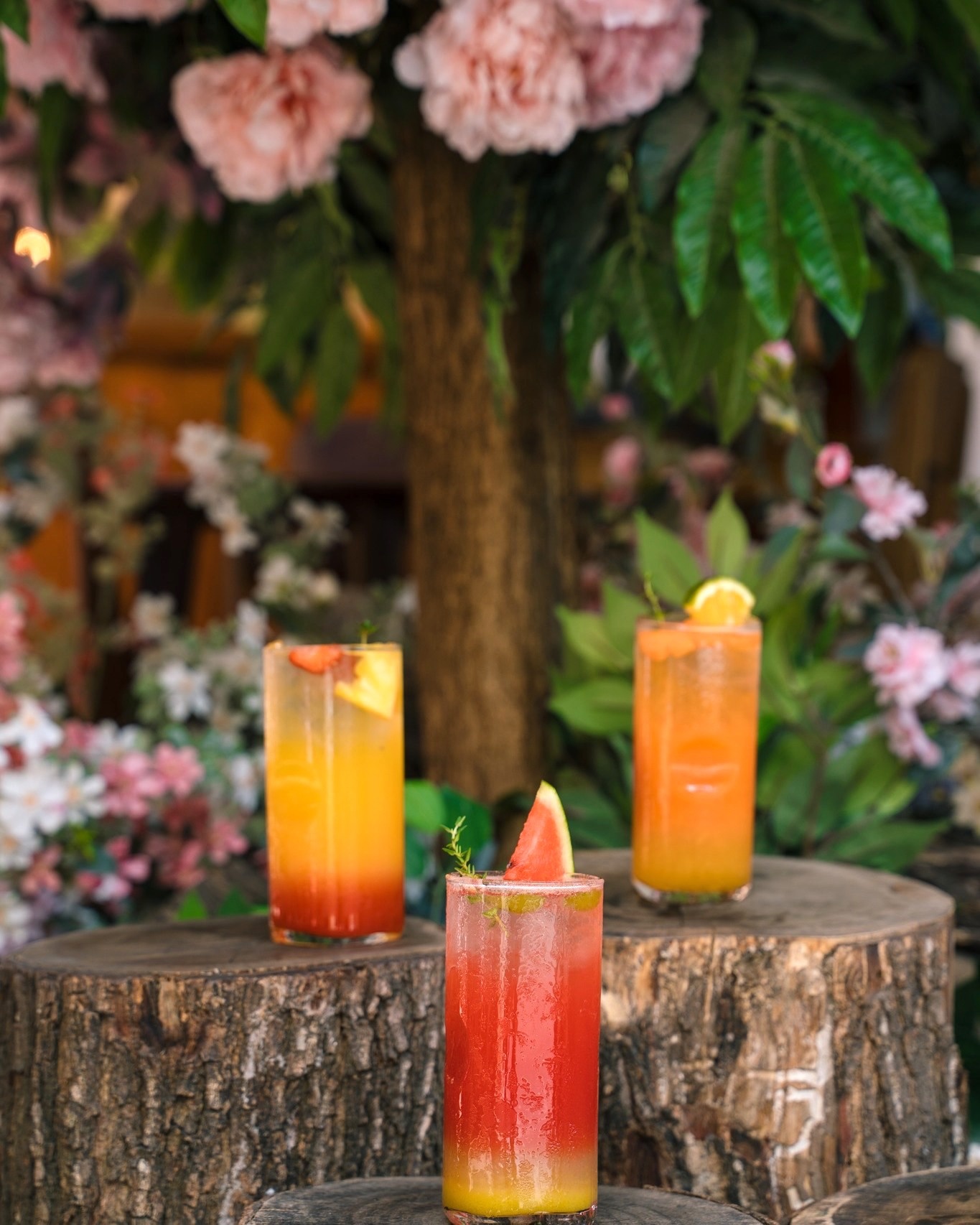 Đi đâu ngày Tết ảnh 6 Di dau ngay Tet anh 6