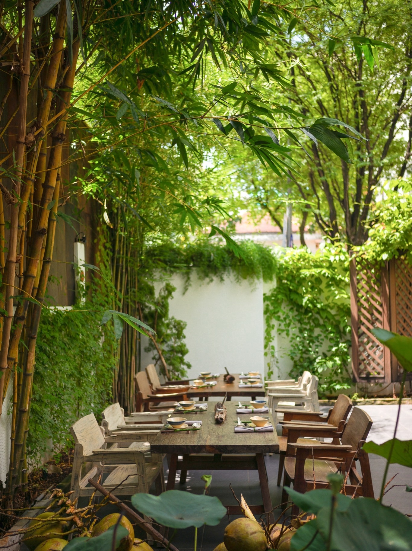 Nhà hàng chay ngon ảnh 3 Nha hang chay ngon anh 3